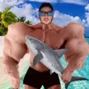 Costynell avatar