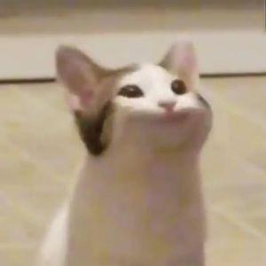 weebfredyo avatar