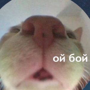 Ray_023