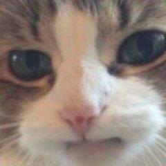 indaylancer avatar