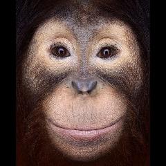 gregy_L avatar