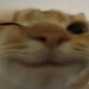 s_aharok1