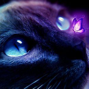 Player Legendline avatar