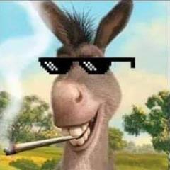 Dumkinas26 avatar