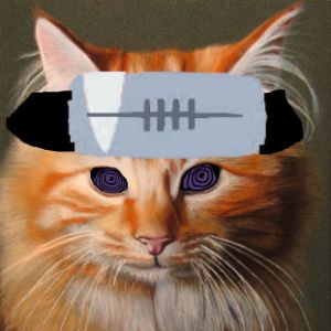 _PA1N_