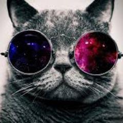 duysuper123 avatar