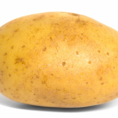 Malmanisse