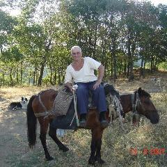 Player Donkey_Rider avatar