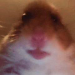 Cancri5 avatar