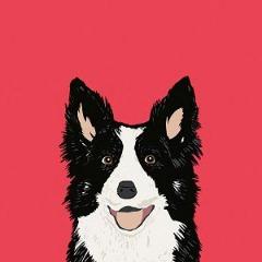 Player Swepples avatar