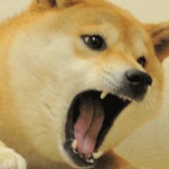 vu1k avatar