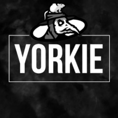 y0rkie