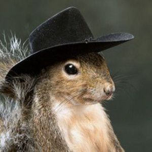 SquirrelTony