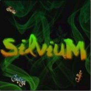 Silviu_M avatar