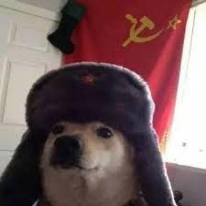 tovarisz