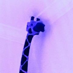 Invertdwhale avatar