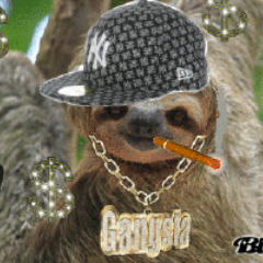 Player TheBestSloth avatar