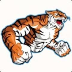 hikkAMAZIN avatar