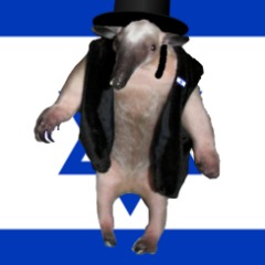 Agussantijoa