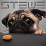 steeweee1 avatar