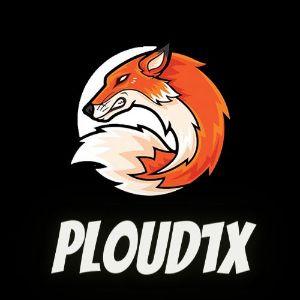 Player ploudix avatar