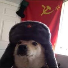 PaXoyt avatar