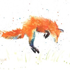 ZeroSkippy