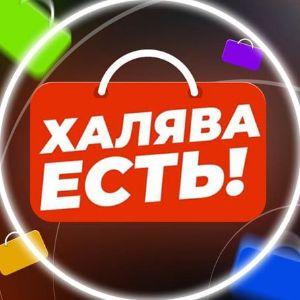 Player TimZet avatar