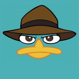 neloxep FACEIT avatar