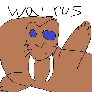 owl_j1sa avatar