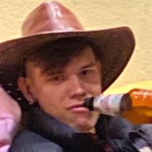 DiMhik3377 avatar