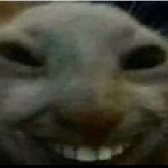 _LTM avatar