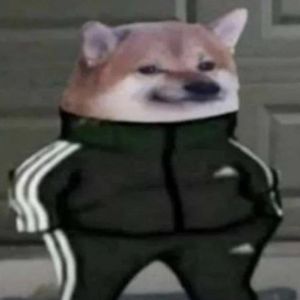 zievbnce avatar