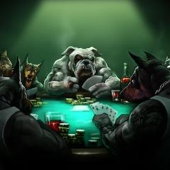 Player ChPN avatar