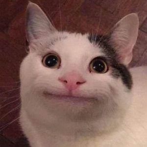 -Fr0kk1 avatar