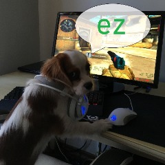 MECZUP FACEIT avatar
