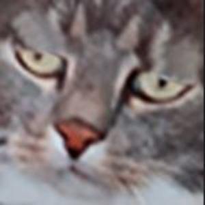Sidney164 avatar