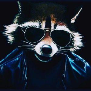 ZYR_kz avatar
