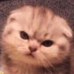 SirGorbachev avatar