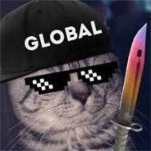Player BezMozgOF avatar