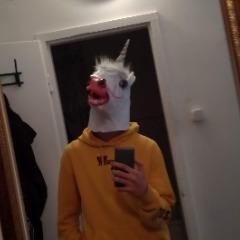 Vau_vau avatar