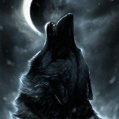 Player WOOOLF8 avatar