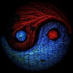 ReDmY_ avatar