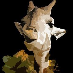 godaer avatar
