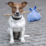 ruff_life