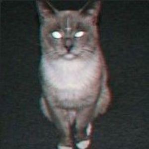 aschemez avatar