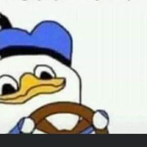 AreXonek