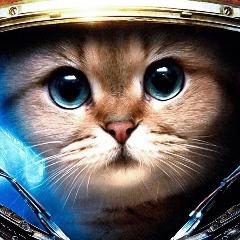 Ma_dar_A avatar
