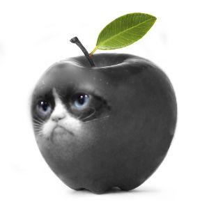 Player Holy-Peanut avatar