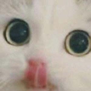 GR111D avatar